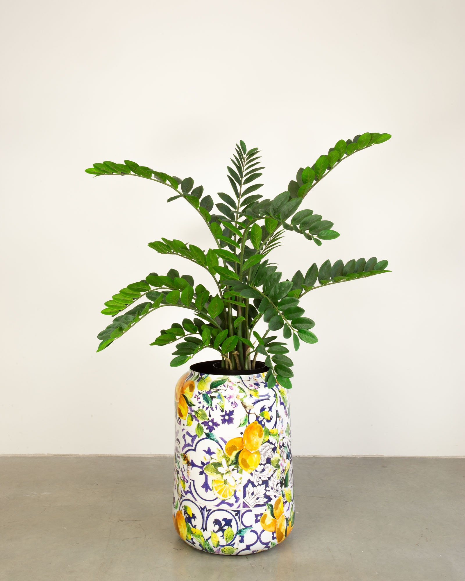 Lemon Harmony Bodenvase Set mit Zamioculcas