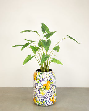 Lemon Harmony Bodenvase Set mit Zebra-Elefantenohr