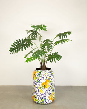 Lemon Harmony Bodenvase Set mit Philodendron