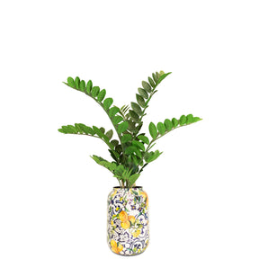 Zamioculcas im Set mit Bodenvase Botanical Grace Detailansicht der hochwertigen Oberflächenstruktur im Wohnzimmer