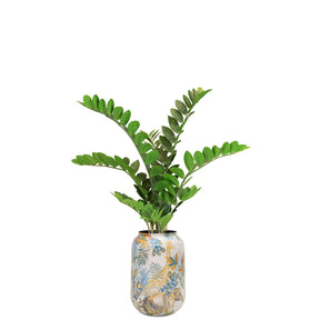 Zamioculcas im hohen Pflanzgefäß Botanical Grace für das Wohnzimmer in der Detailansicht