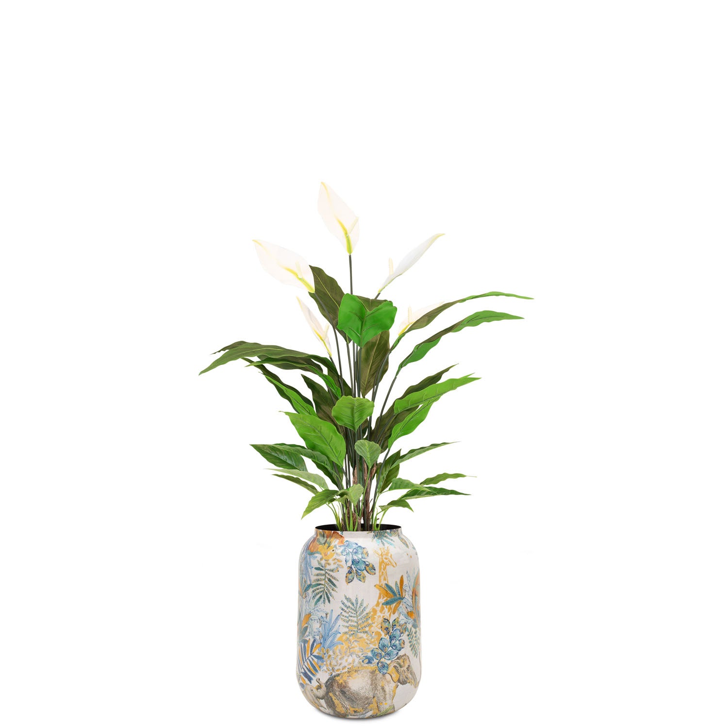 Set aus Spathiphyllum und Bodenvase Botanical Grace, Tropic Indigo, Safari Gold, Lemon Harmony oder Bali Blossom