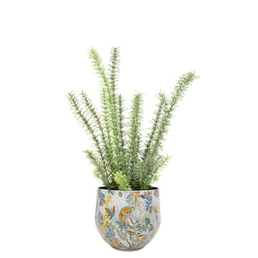 Set aus Designtischgefäß und Rosmarin