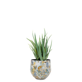 UV-stabile Aloe Vera von Get Your Green im Designtischgefäß aus recyceltem Material Detailansicht