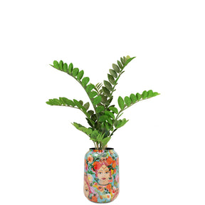 Zamioculcas im hohen Pflanzgefäß Botanical Grace Detailansicht der hochwertigen Oberflächenstruktur im Wohnzimmer