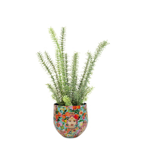 Set aus Designtischgefäß und Rosmarin