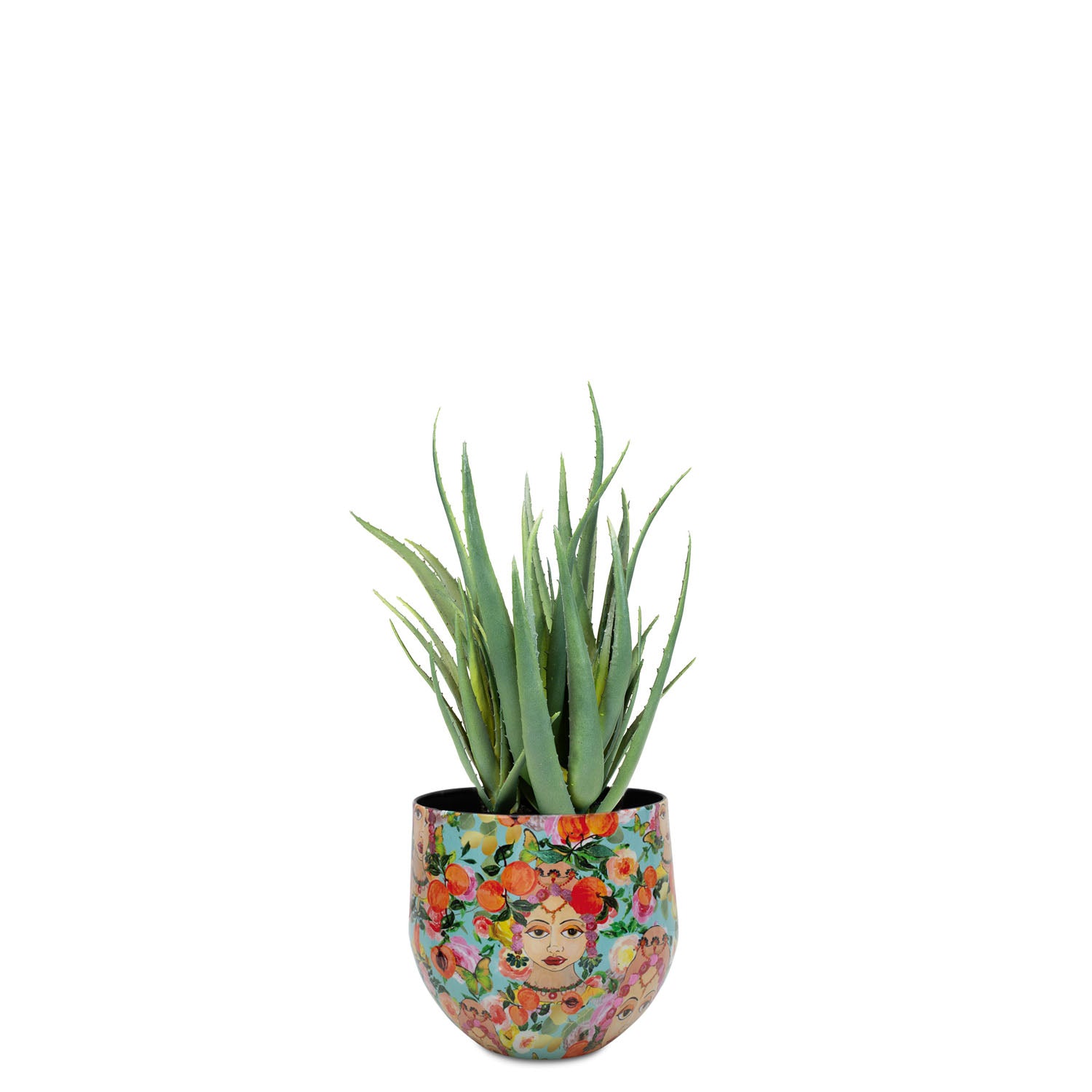 Detailansicht der UV-stabilen Aloe Vera von Get Your Green im nachhaltigen Designtischgefäß