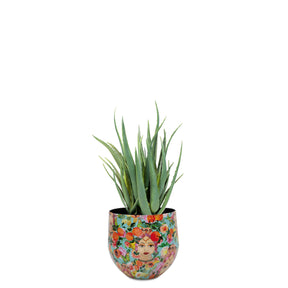 Detailansicht der UV-stabilen Aloe Vera von Get Your Green im nachhaltigen Designtischgefäß