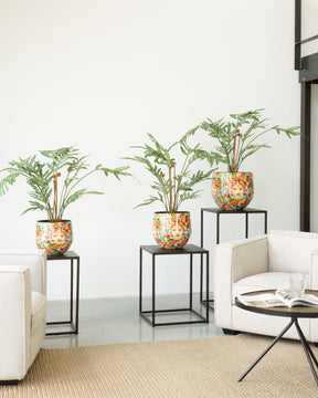 Bali Blossom Tischgefäß Set mit Goldtüpfelfarn