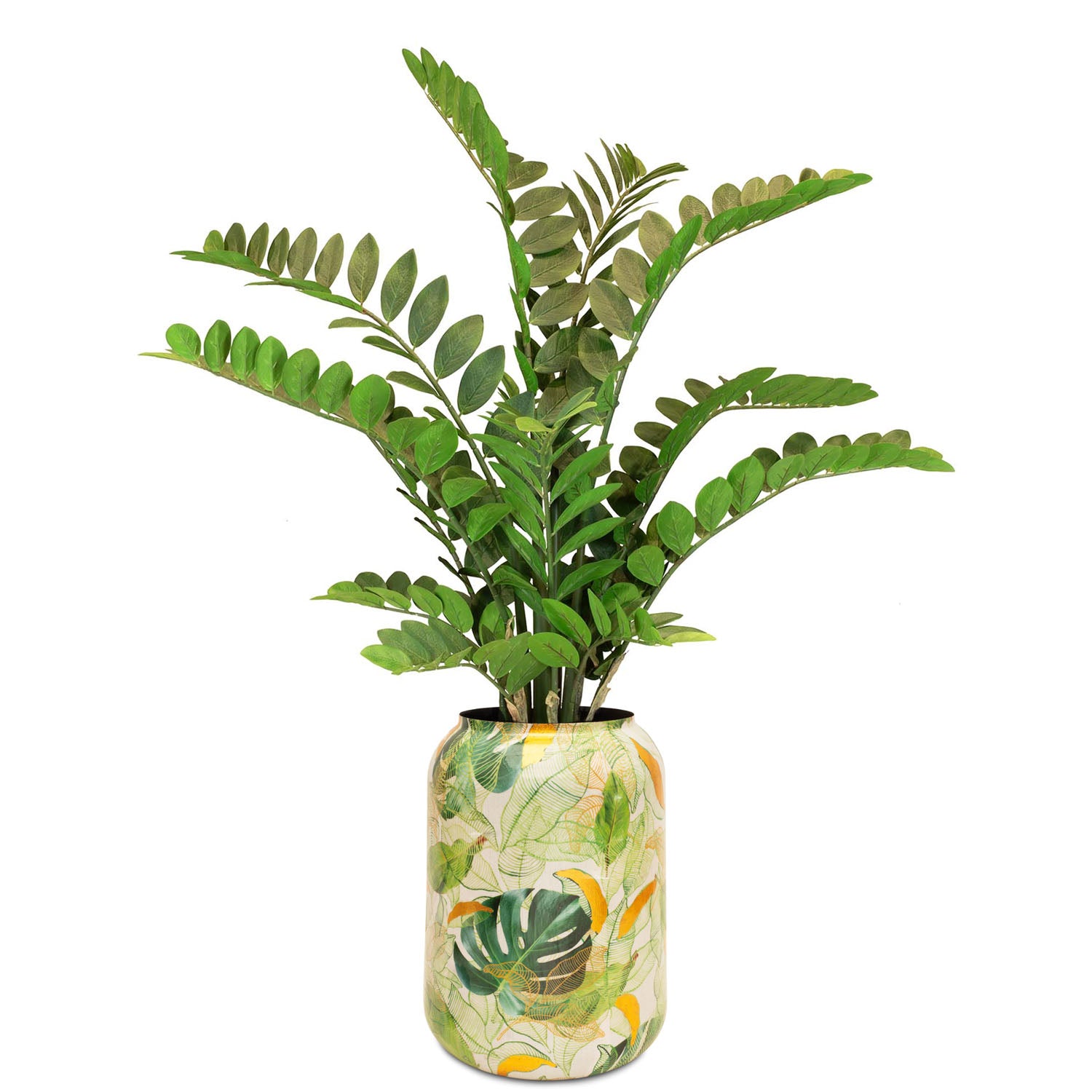 Zamioculcas im hohen Pflanzgefäß Botanical Grace für das Wohnzimmer in der Detailansicht