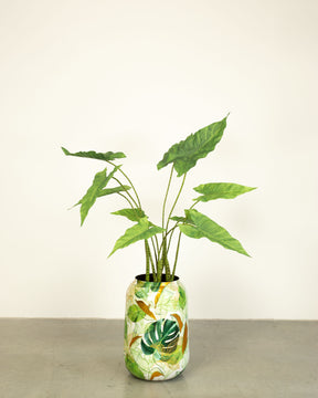 Botanical Grace Bodenvase Set mit Zebra-Elefantenohr