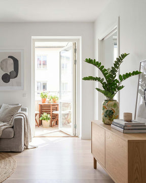 Zamioculcas in Bodenvase Botanical Grace Seitenansicht für architektonische Akzente im Wohnzimmer
