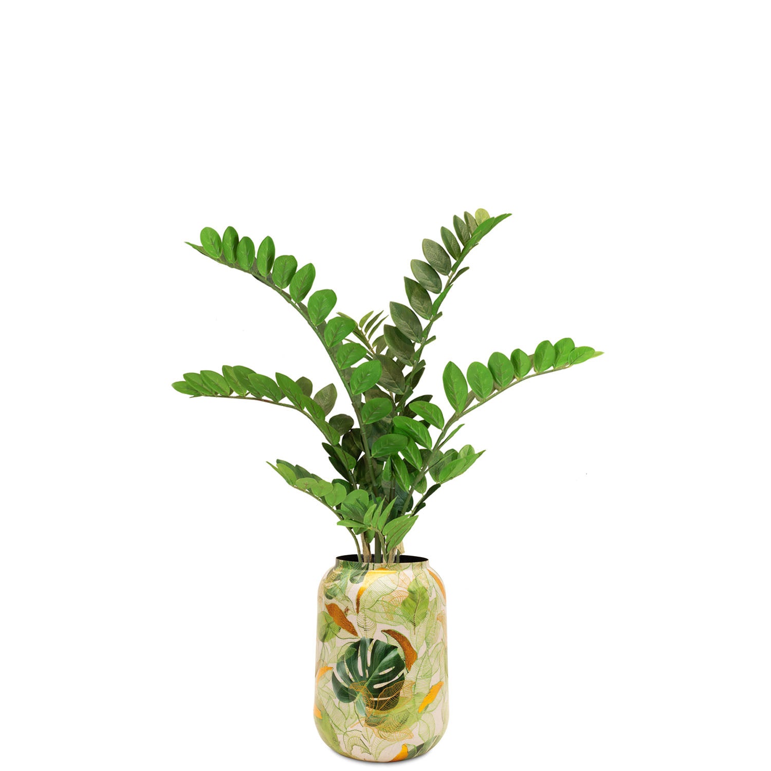 Zamioculcas im hohen Pflanzgefäß Botanical Grace Detailansicht der Blattstruktur im Wohnzimmer