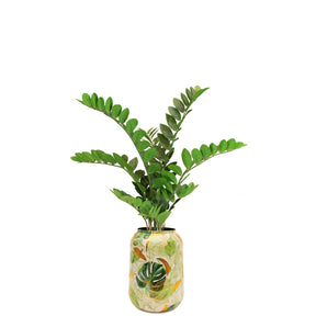 Zamioculcas im hohen Pflanzgefäß Botanical Grace Detailansicht der Blattstruktur im Wohnzimmer