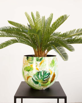 Botanical Grace Tischgefäß Set mit japanischem Sagopalmfarn