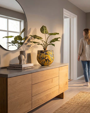 Set aus Designtischgefäß mit Calathea