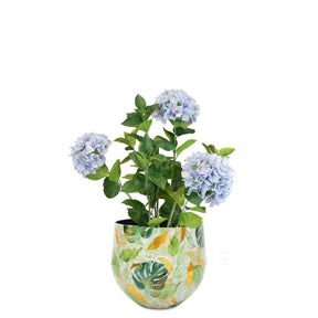 Set aus Designtischgefäß und Hortensie