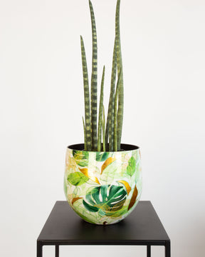 Botanical Grace Tischgefäß Set mit Bogenhanf