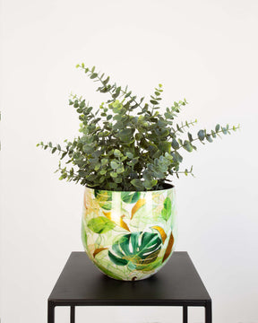 Botanical Grace Tischgefäß Set mit Eucalyptus