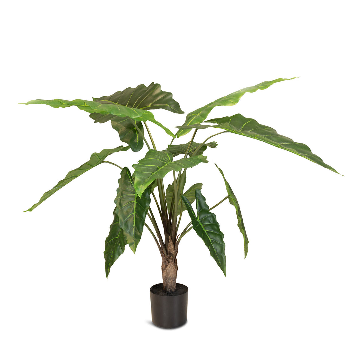 Pfeilblatt - Alocasia Kunstpflanze