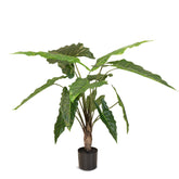 Pfeilblatt - Alocasia Kunstpflanze