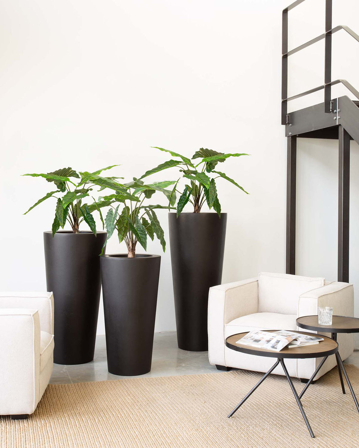 Pfeilblatt - Alocasia Kunstpflanze