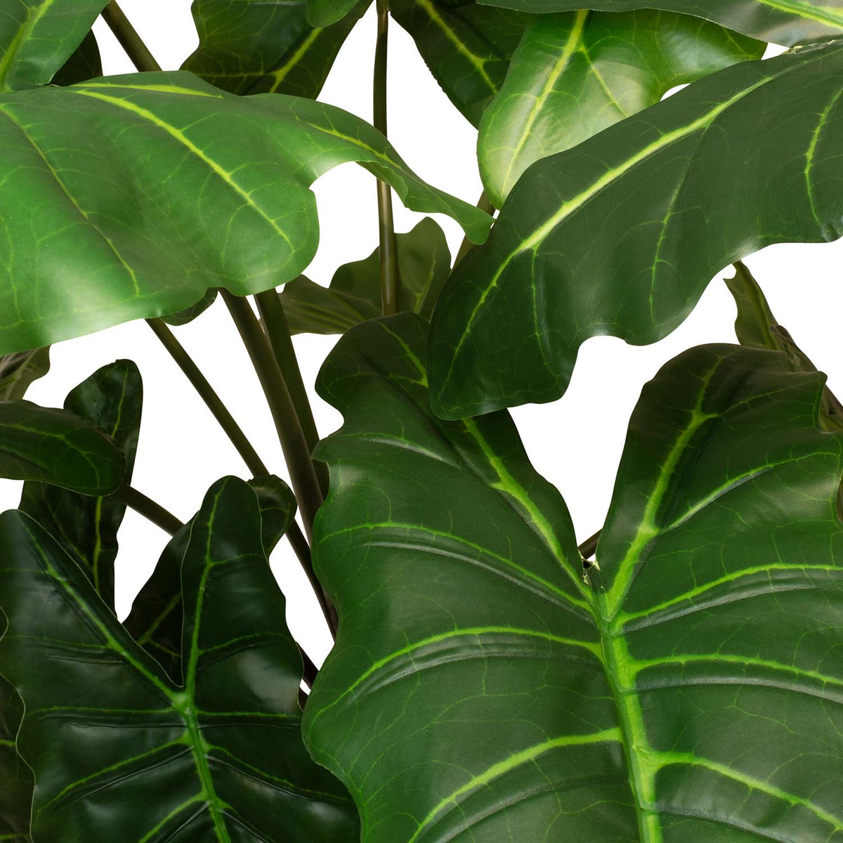 Pfeilblatt - Alocasia Kunstpflanze