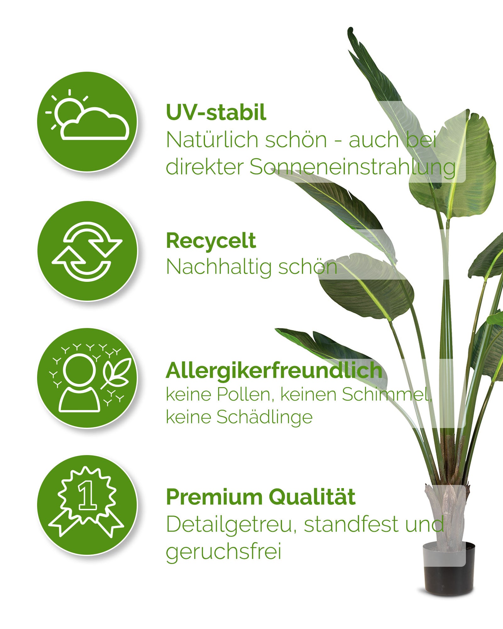 Strelitzie - Baumstrelitzie Kunstpflanze