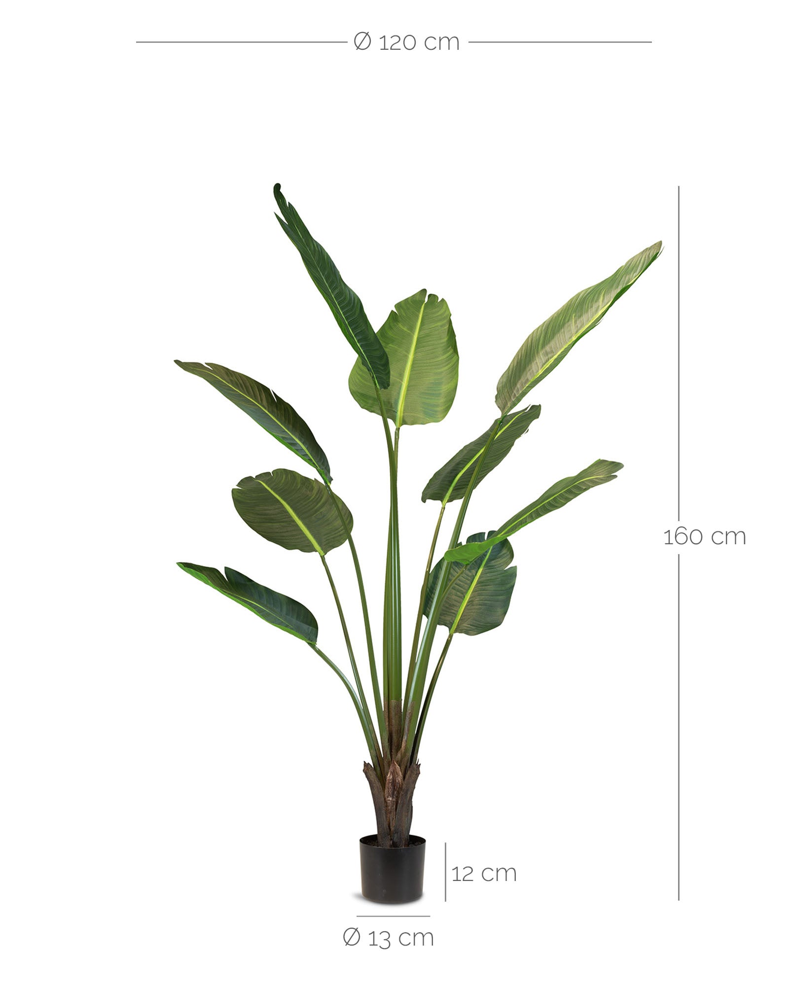 Strelitzie - Baumstrelitzie Kunstpflanze