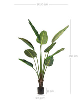 Strelitzie - Baumstrelitzie Kunstpflanze