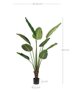 Strelitzie - Baumstrelitzie Kunstpflanze