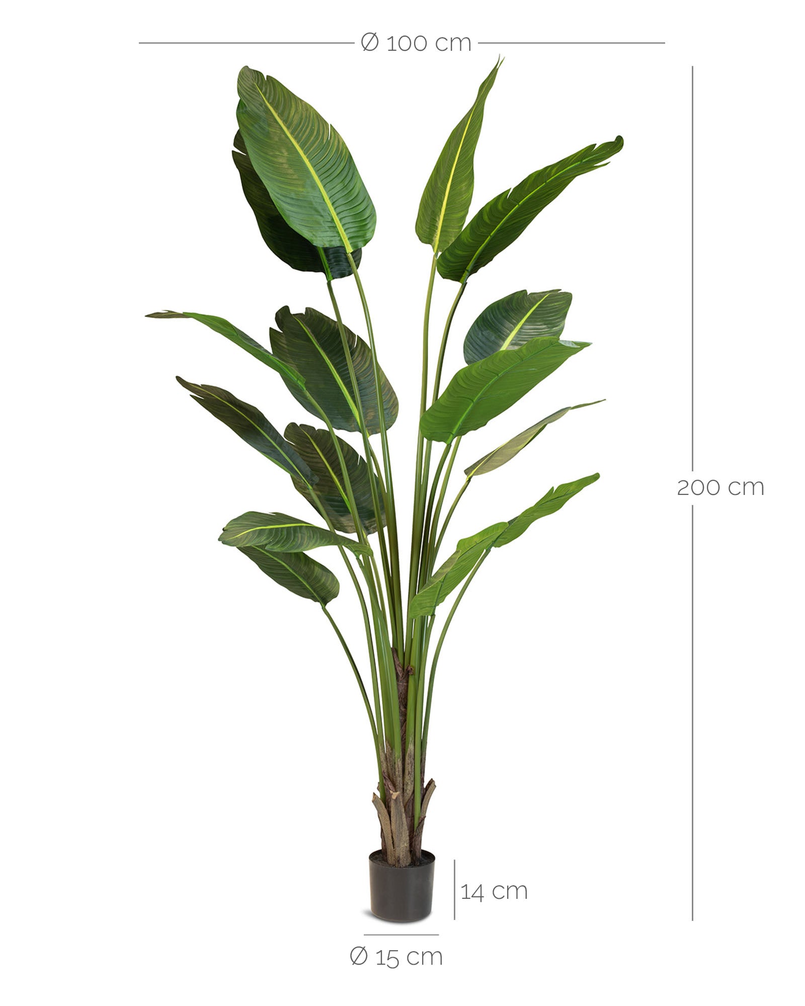 Strelitzie - Baumstrelitzie Kunstpflanze