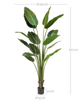 Strelitzie - Baumstrelitzie Kunstpflanze