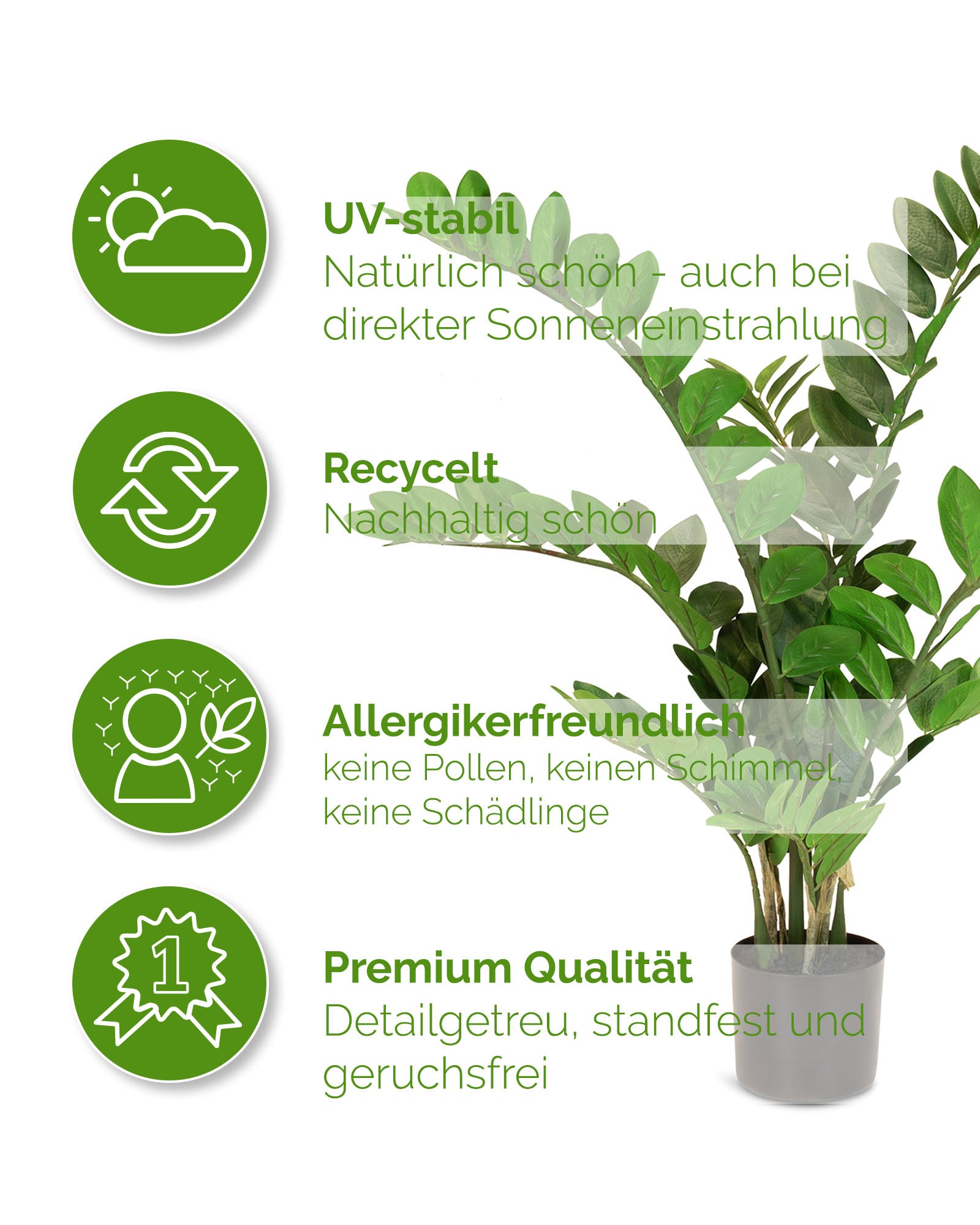 Zamioculcas - Glücksfeder Kunstpflanze