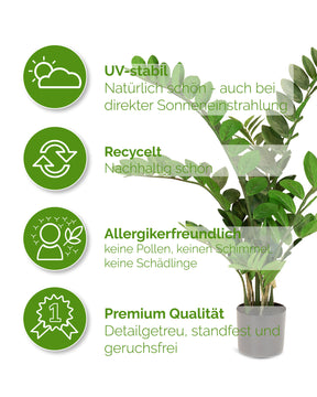 Zamioculcas - Glücksfeder Kunstpflanze