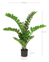 Zamioculcas - Glücksfeder Kunstpflanze
