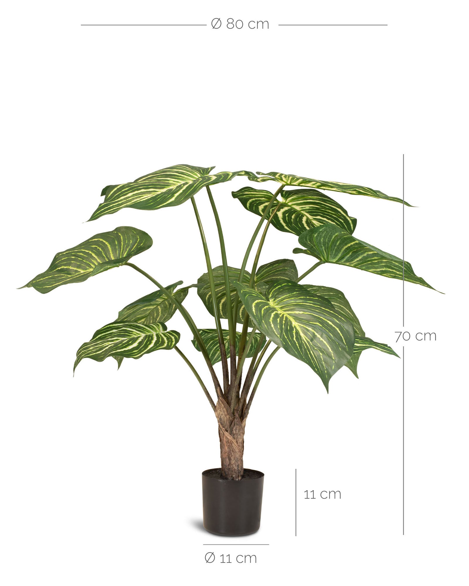 Calathea Kunstpflanze