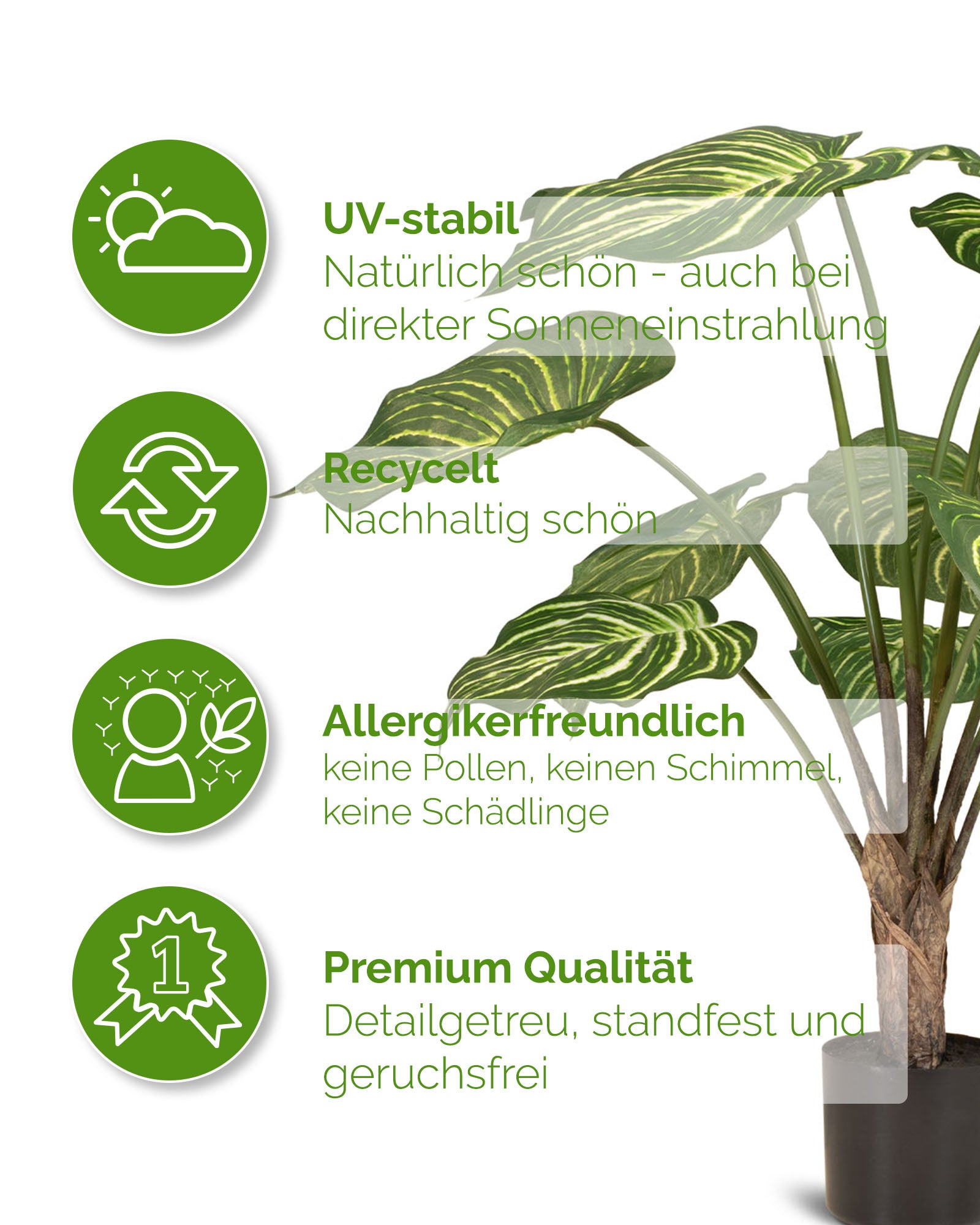 Calathea Kunstpflanze