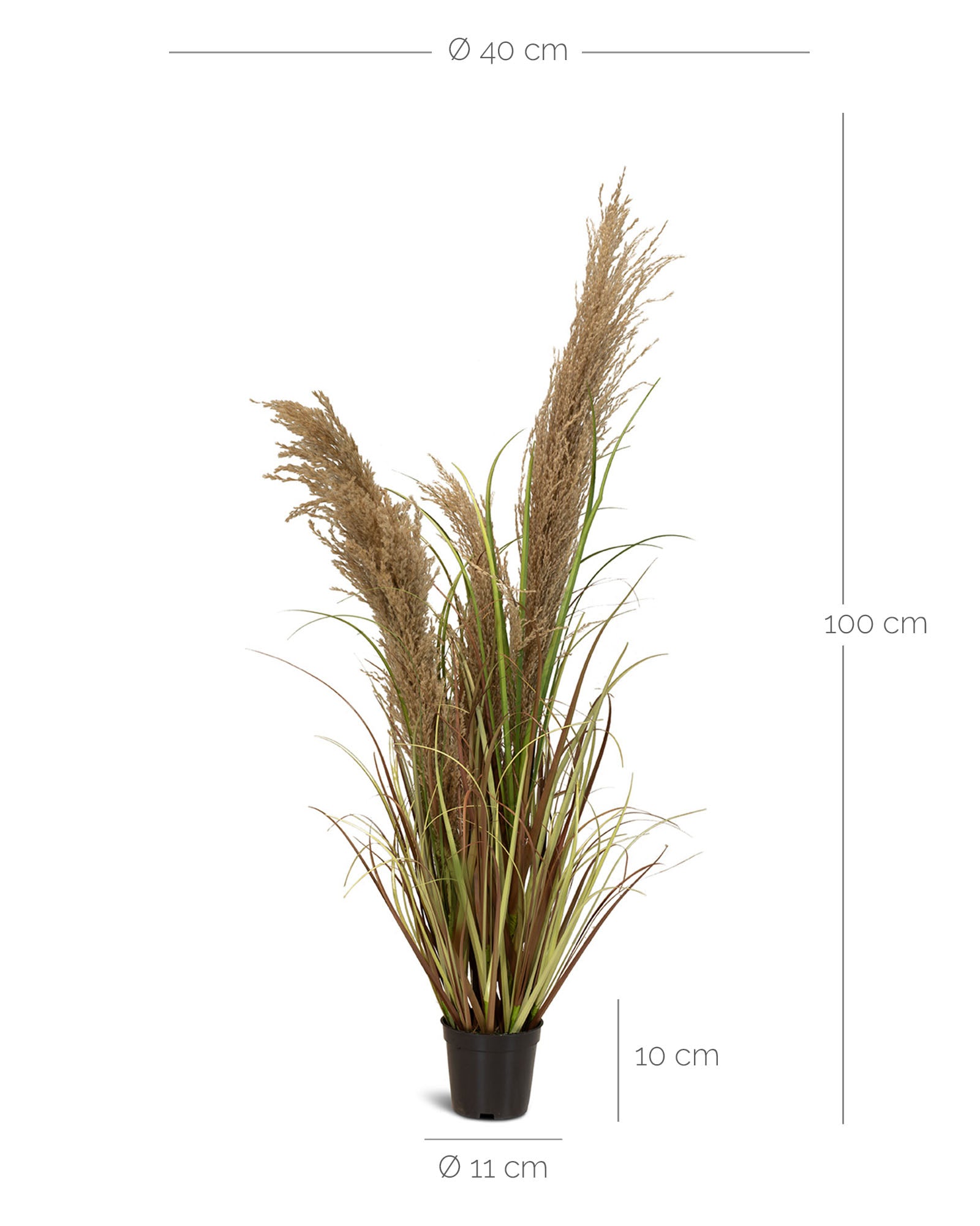 Cortaderia - Pampasgras Kunstpflanze