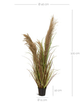 Cortaderia - Pampasgras Kunstpflanze