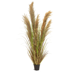 Cortaderia - Pampasgras Kunstpflanze