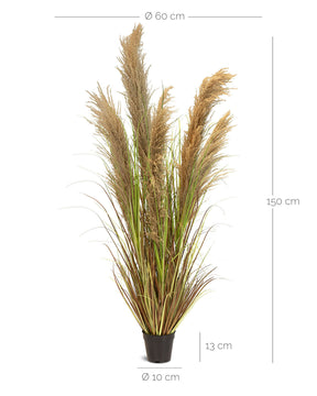 Cortaderia - Pampasgras Kunstpflanze