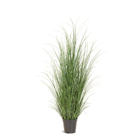 Zebragras Miscanthus Sinensis Kunstpflanze