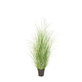 Chinaschilf Variegatus Kunstpflanze