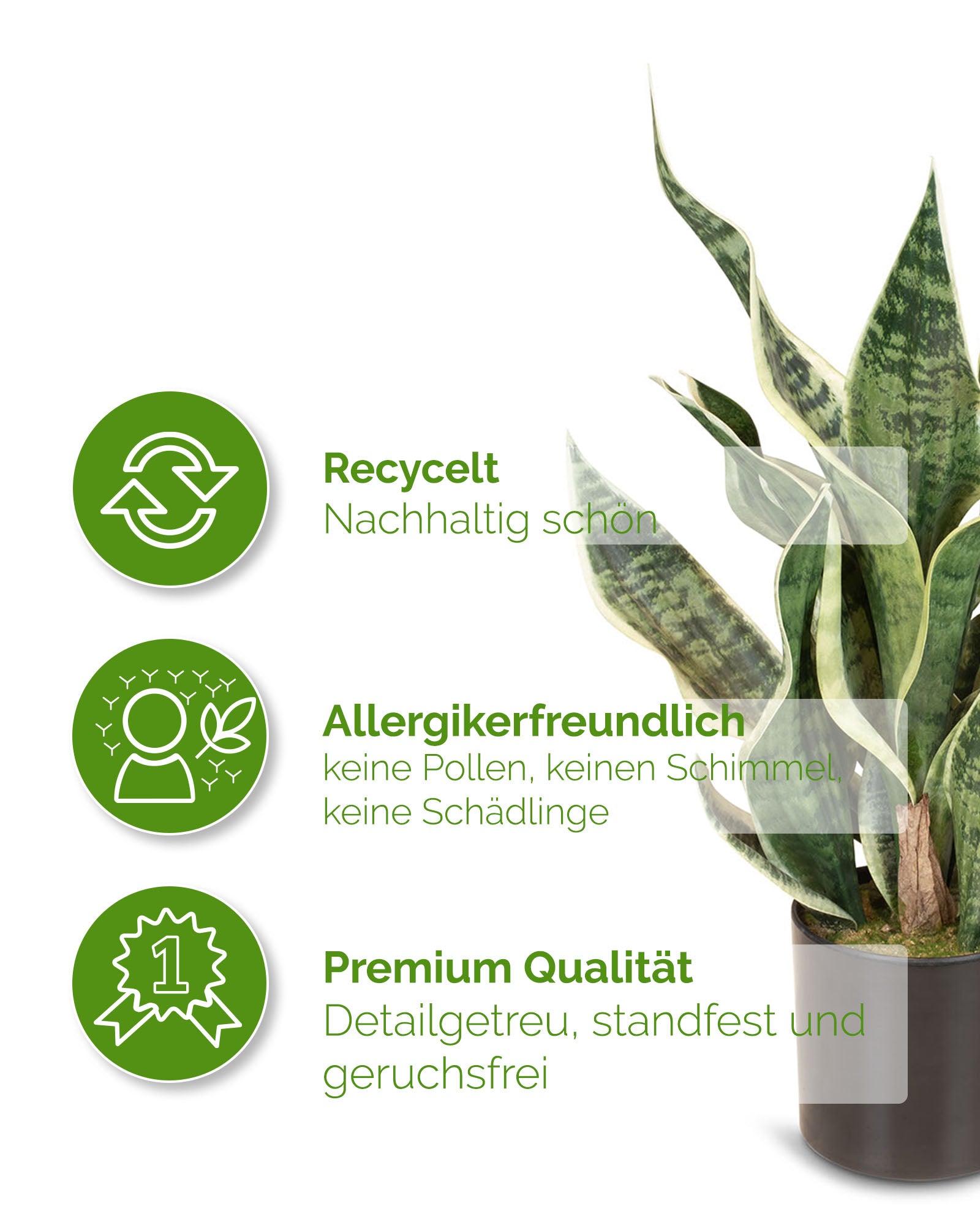 Sansevieria Bogenhanf Kunstpflanze