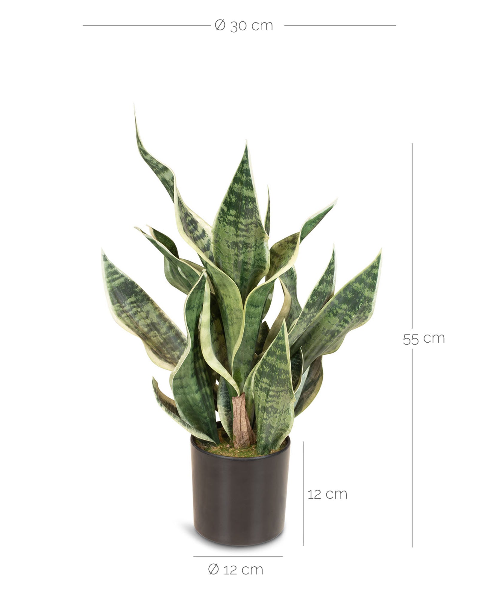Sansevieria Bogenhanf Kunstpflanze