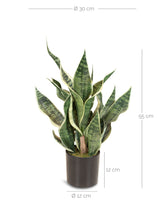 Sansevieria Bogenhanf Kunstpflanze