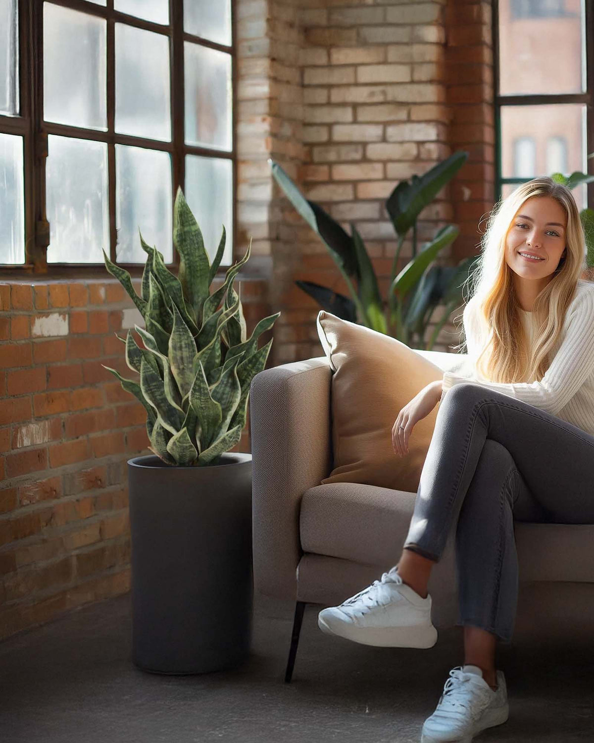 Sansevieria Bogenhanf Kunstpflanze