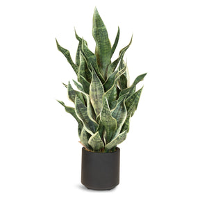 Sansevieria Bogenhanf Kunstpflanze