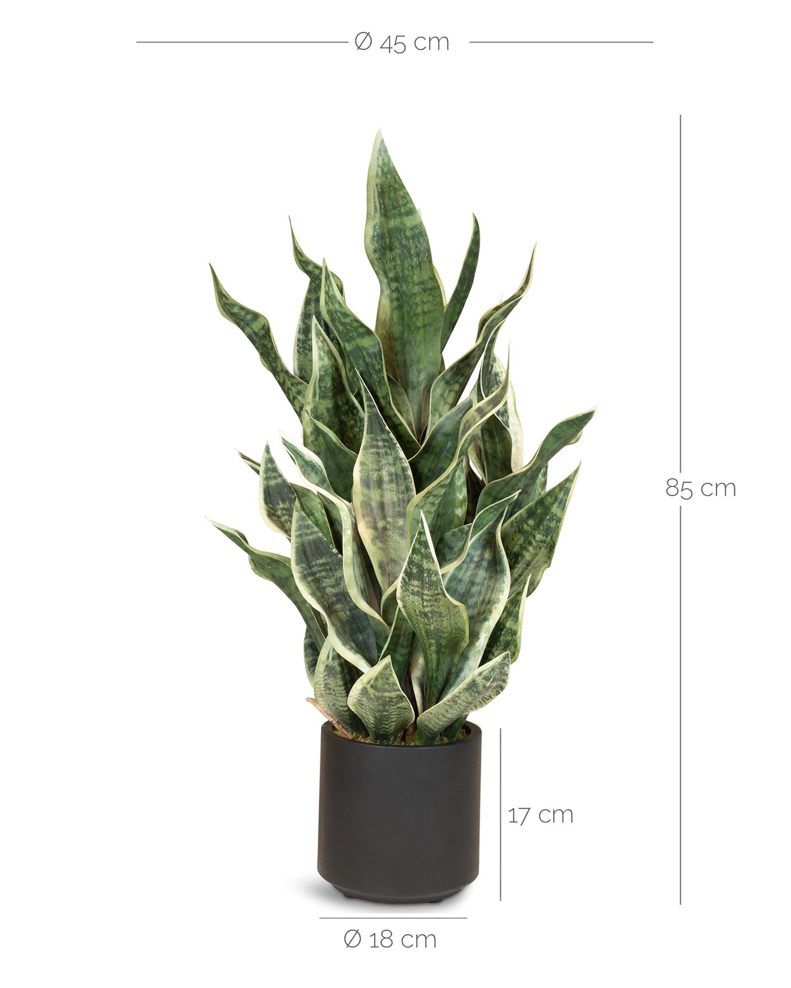 Sansevieria Bogenhanf Kunstpflanze